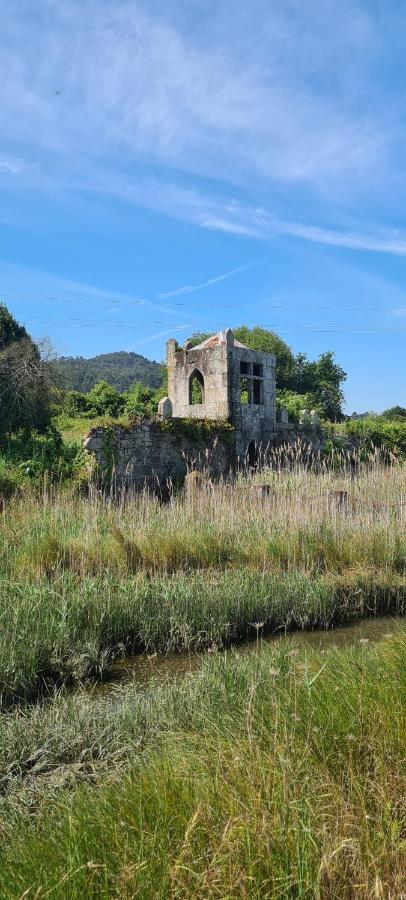 Casa Beira Rio Villa Viana do Castelo Exteriör bild